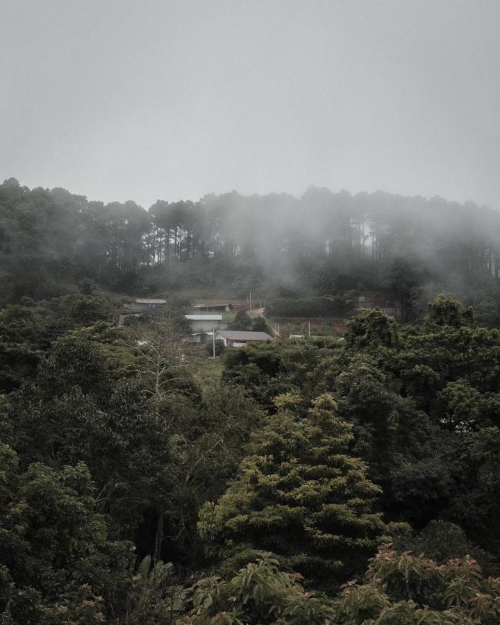 Phu Morinn Camping ม่อนแจ่ม Mon Jam Екстериор снимка